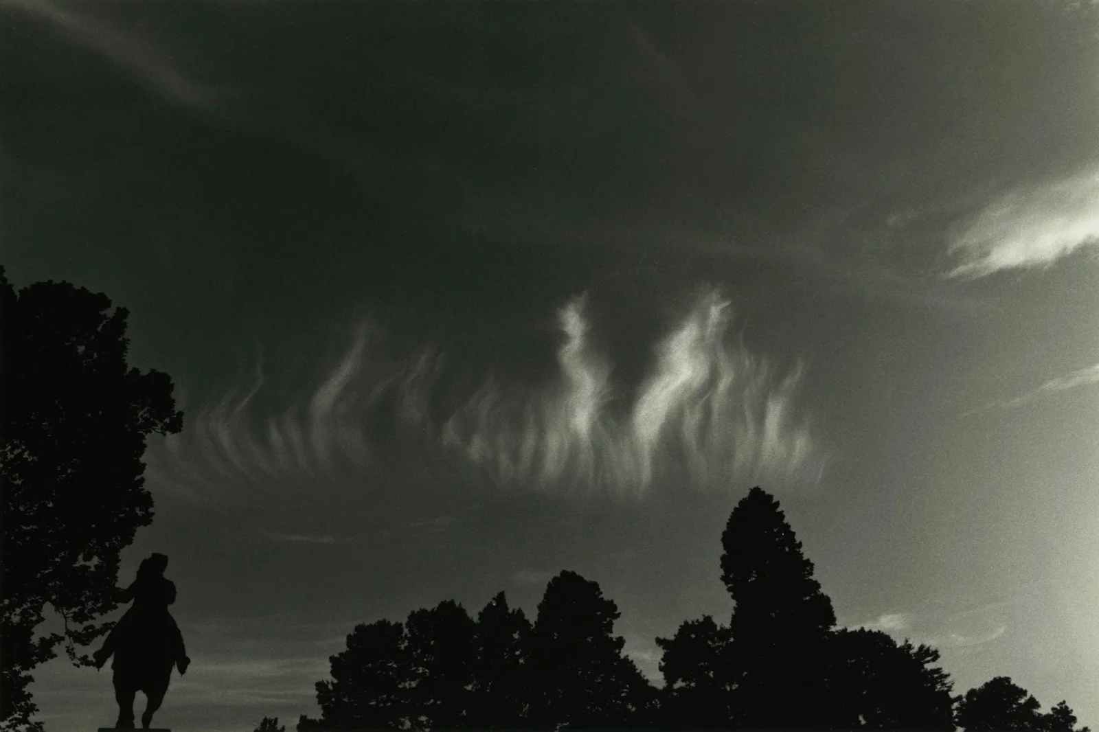 Cirrus vertebratus