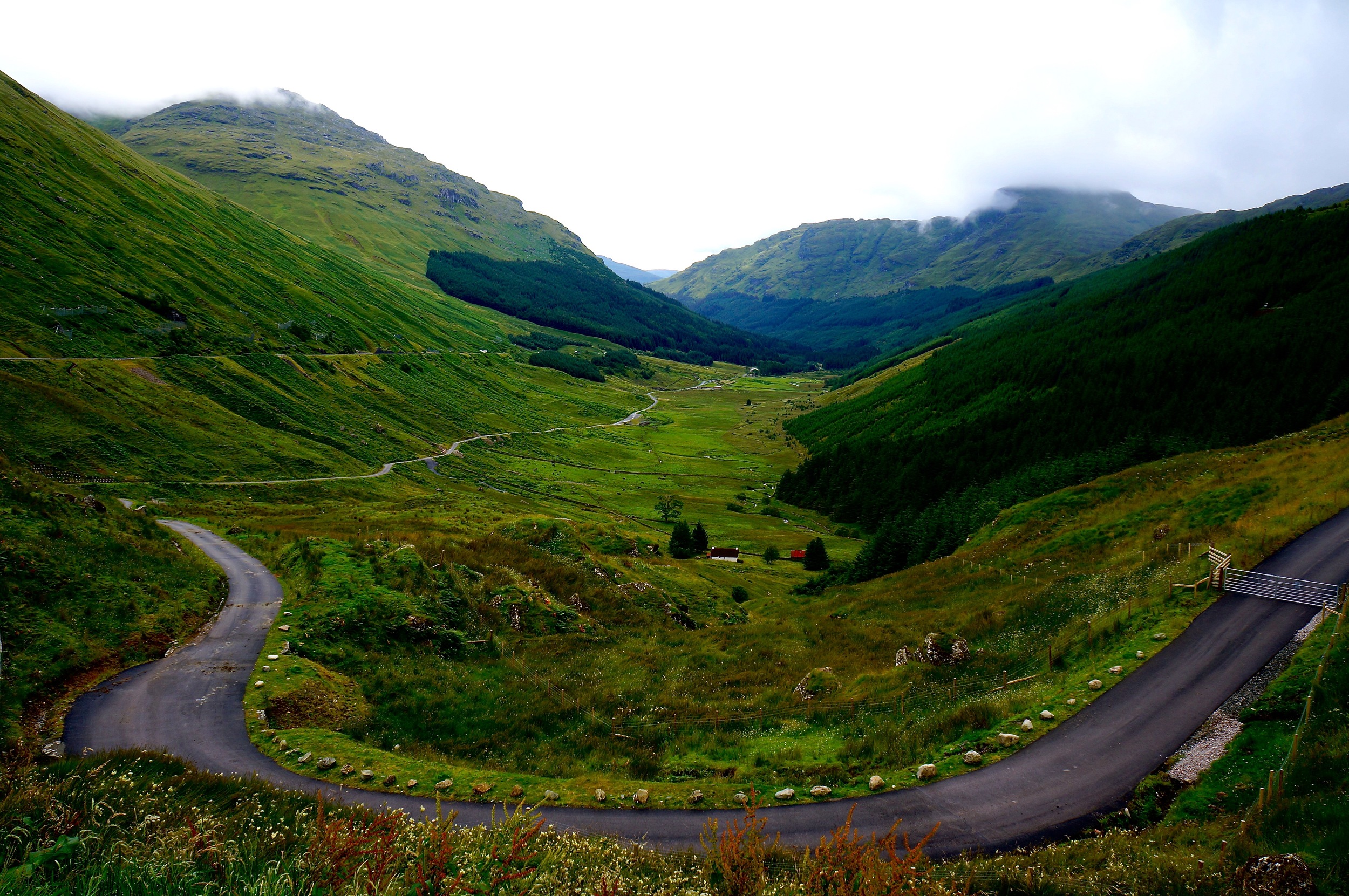 Scottish culture, landscapes, and wildlife just makes me so happy! If I ever had to move out of Switzerland, Scotland is where I would go! We got to stay in a Castle in a small town, and even though it rained, the ambience and atmosphere was cozy and beautiful.