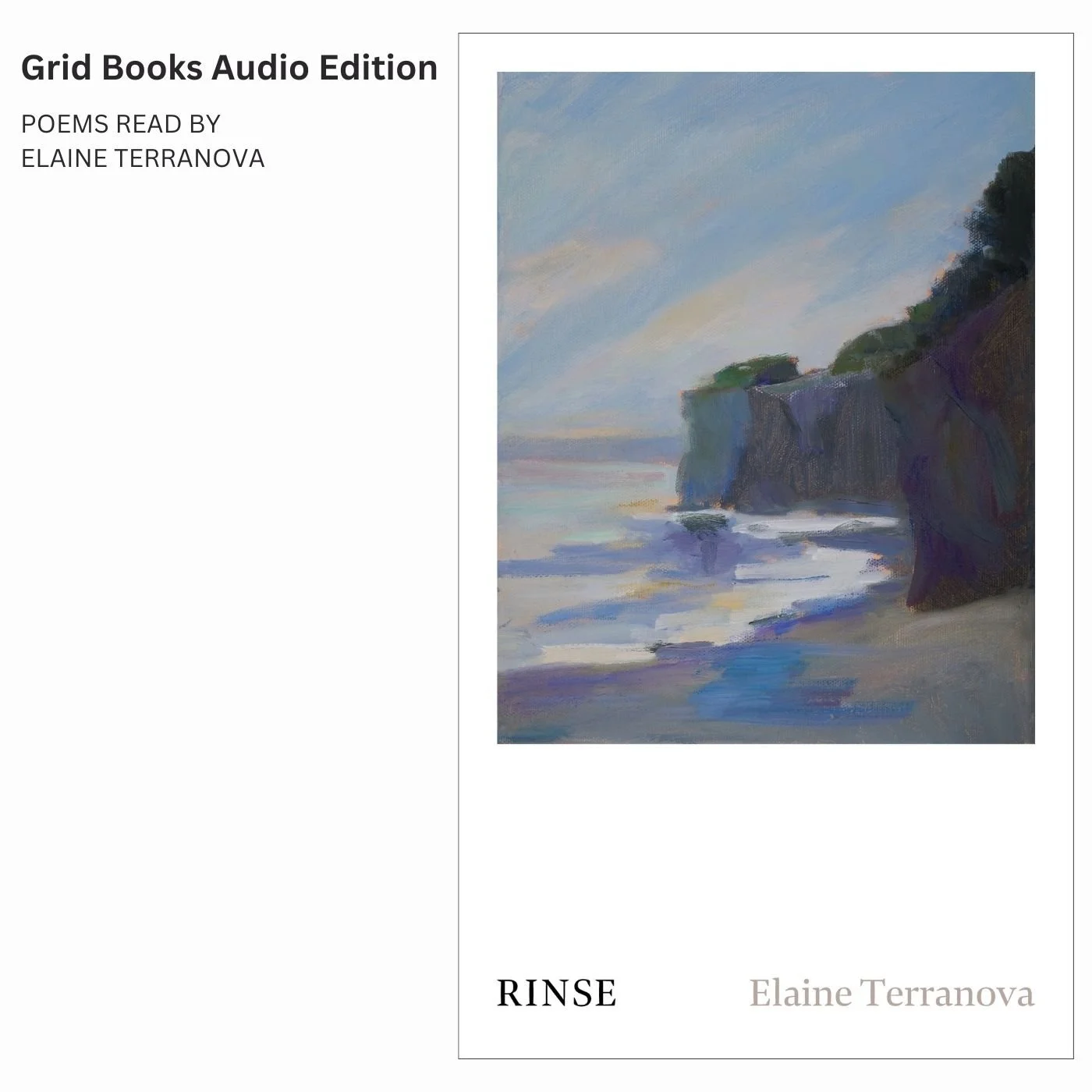 Rinse Audio CVR.jpg