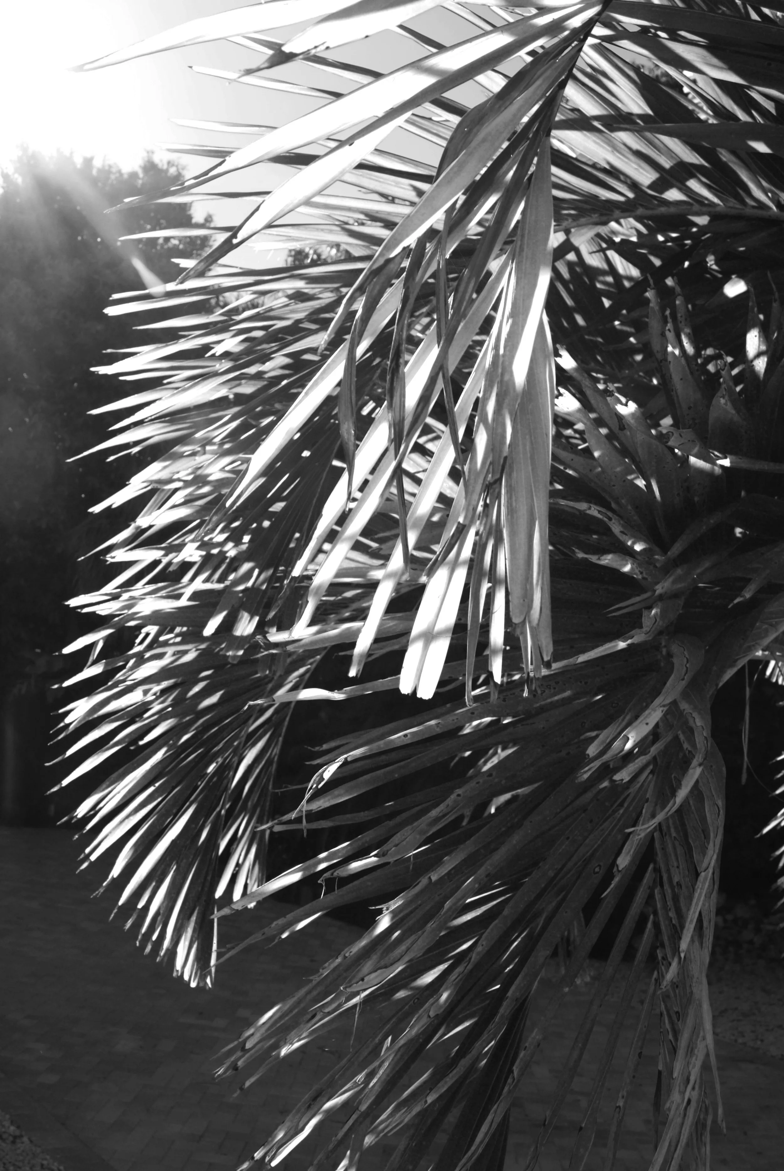 Travel Photography (Copy)
