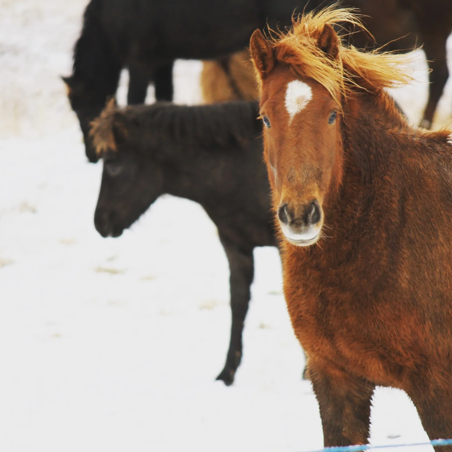 Travel Photography (Copy)