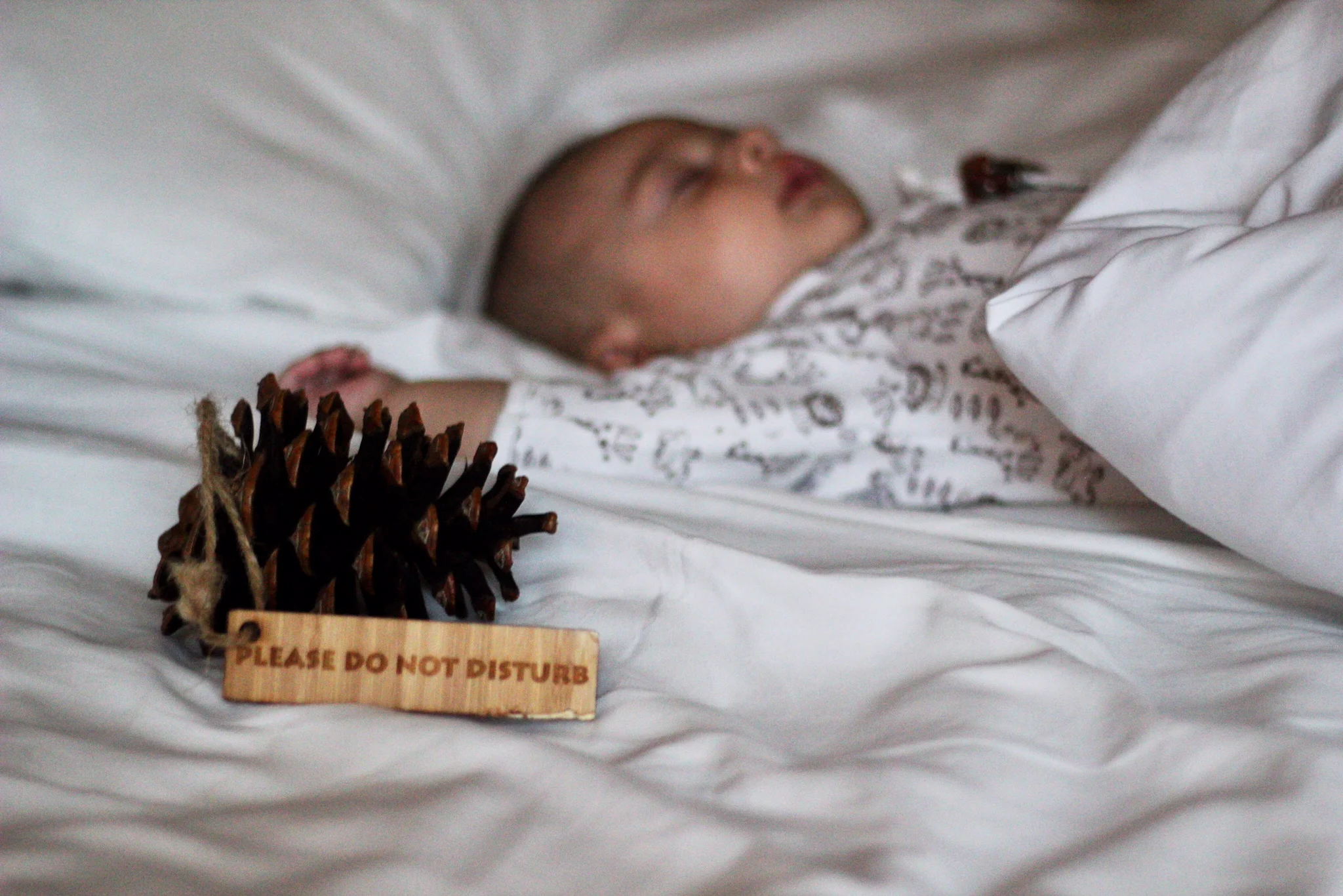 Do Not Disturb Sign, Copyright Nicole Burron