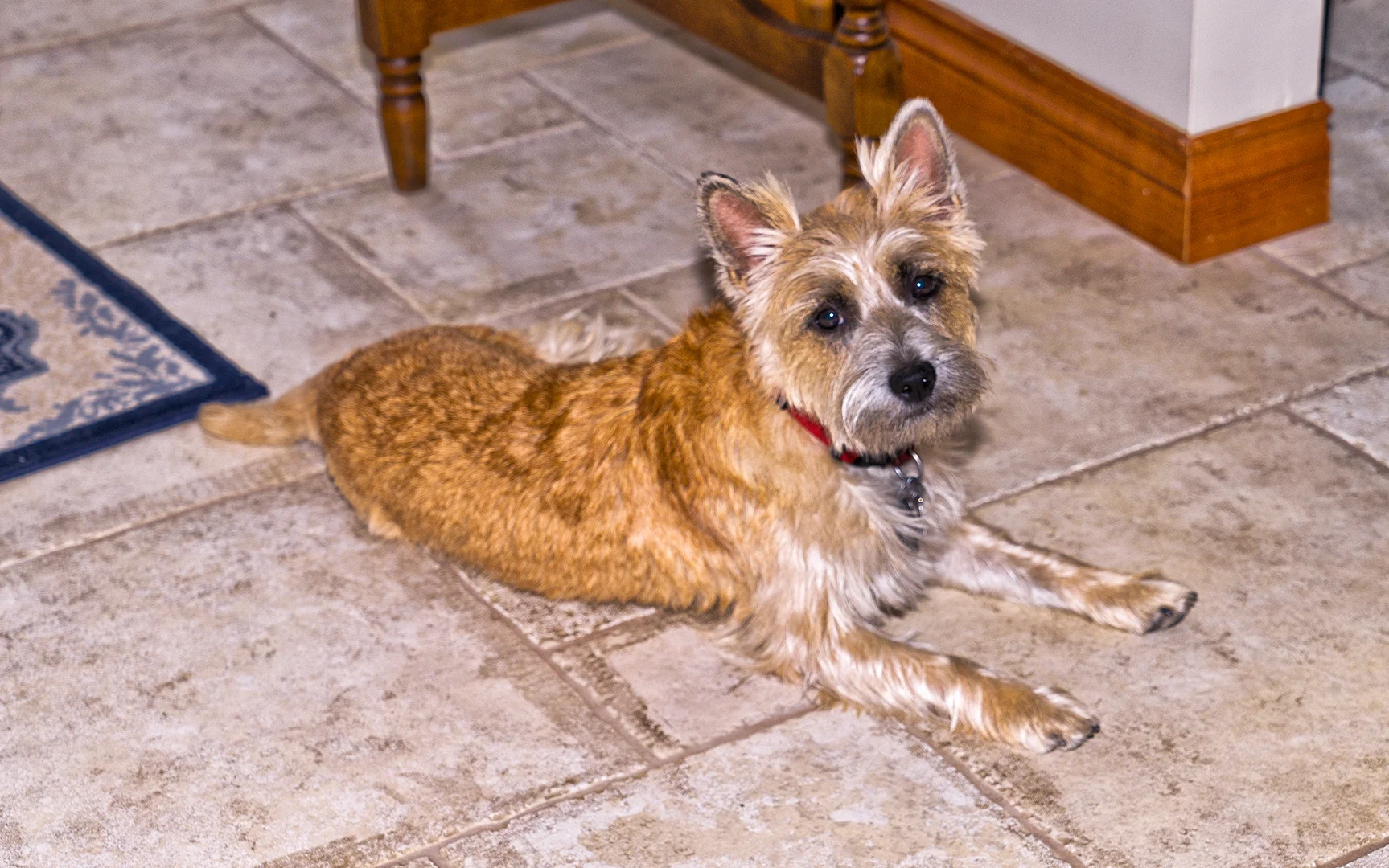 Miss Morgan  aka the wild child 