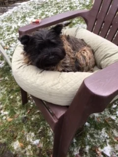  Piper enjoying a campfire at the cottage&nbsp; 