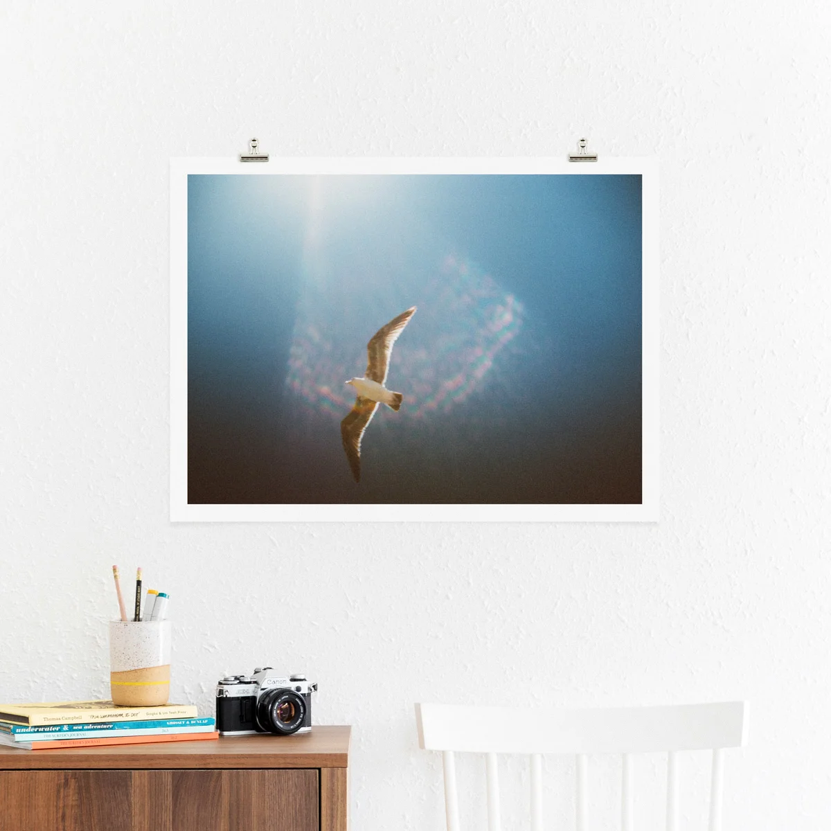scott-snyder-seagull-sun-flare-print-2.jpg