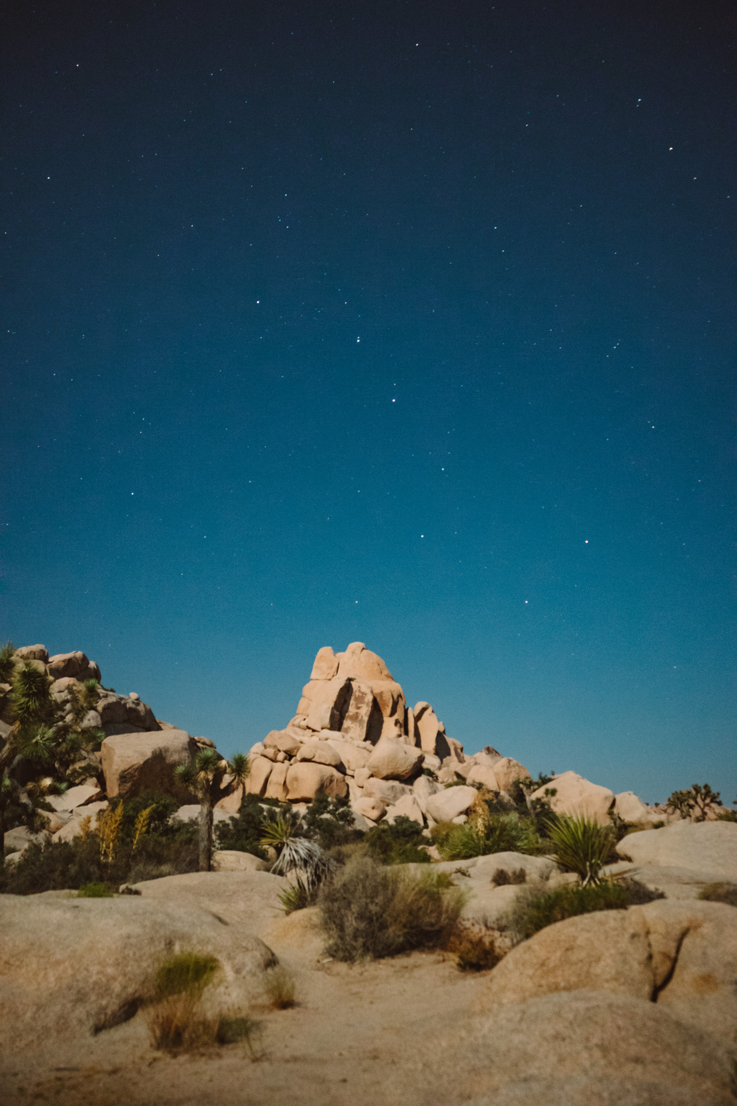 scott-snyder-photo-joshua-tree-05.jpg