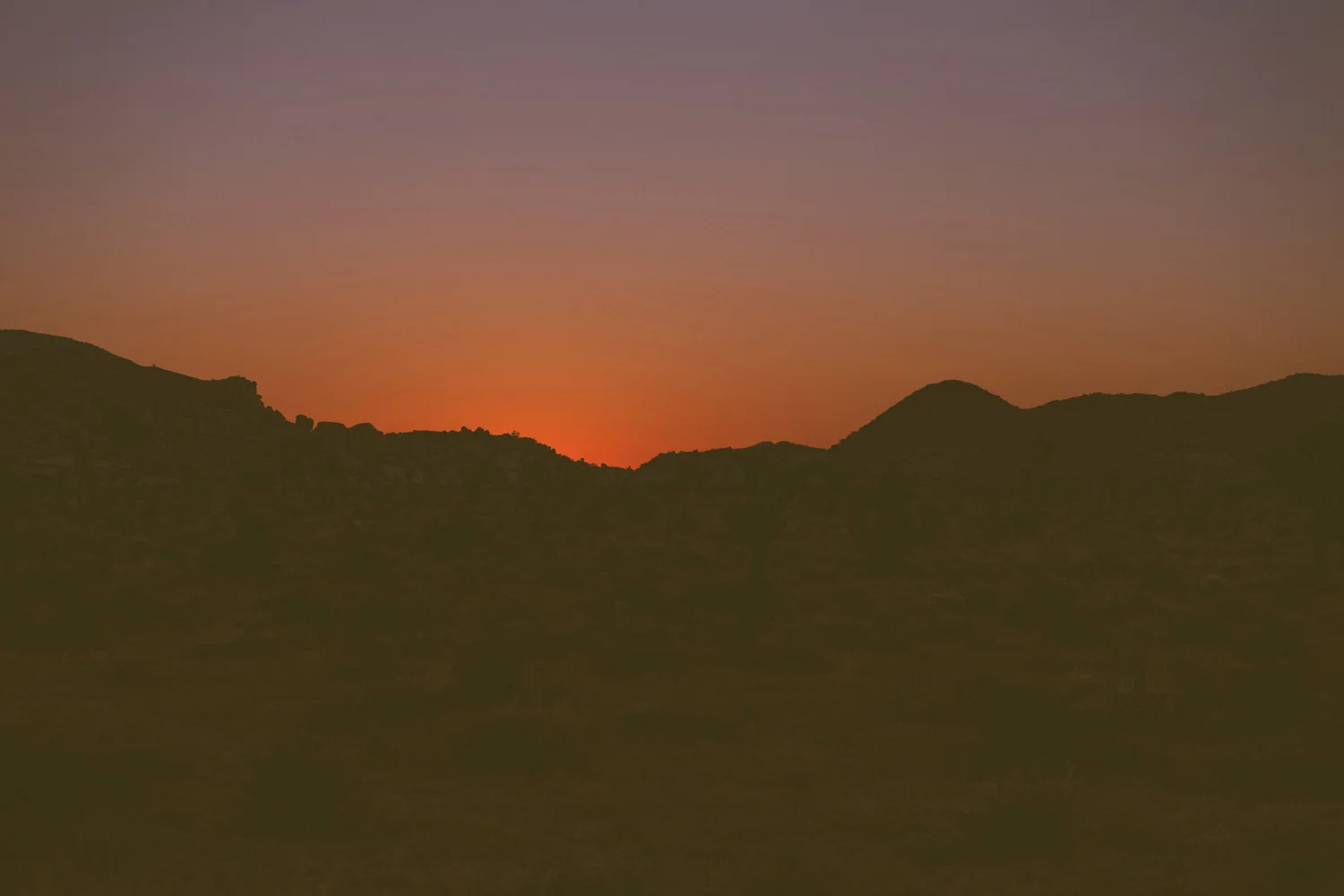 scott-snyder-photo-joshua-tree-06.jpg
