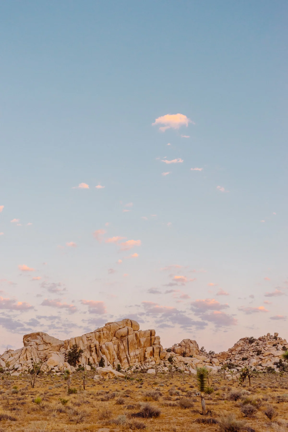 scott-snyder-photo-joshua-tree-09.jpg