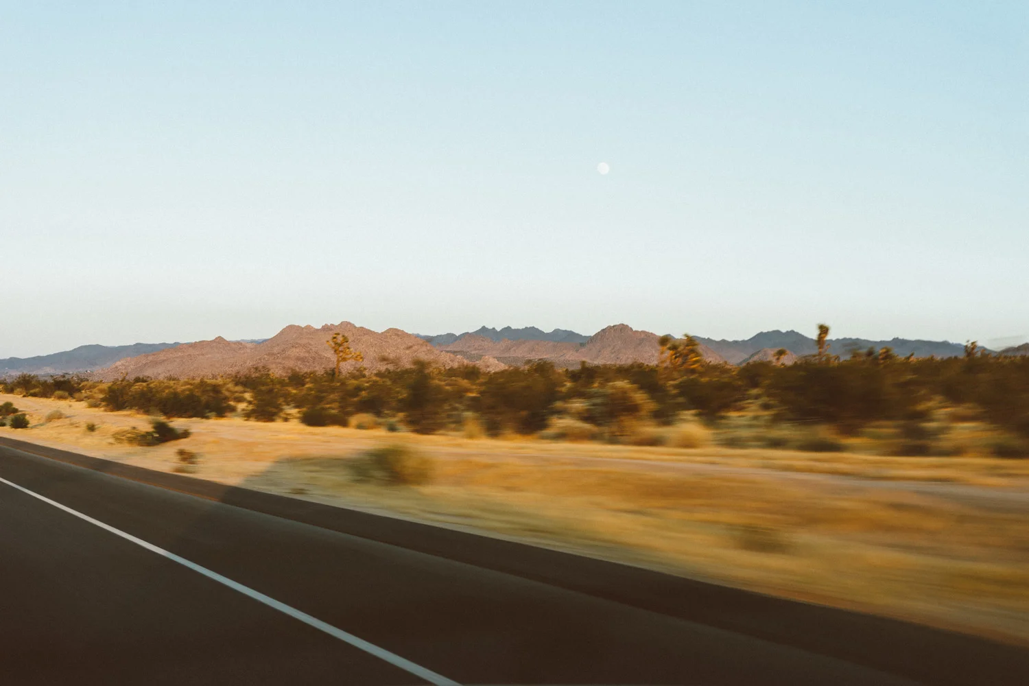 scott-snyder-photo-joshua-tree-02.jpg