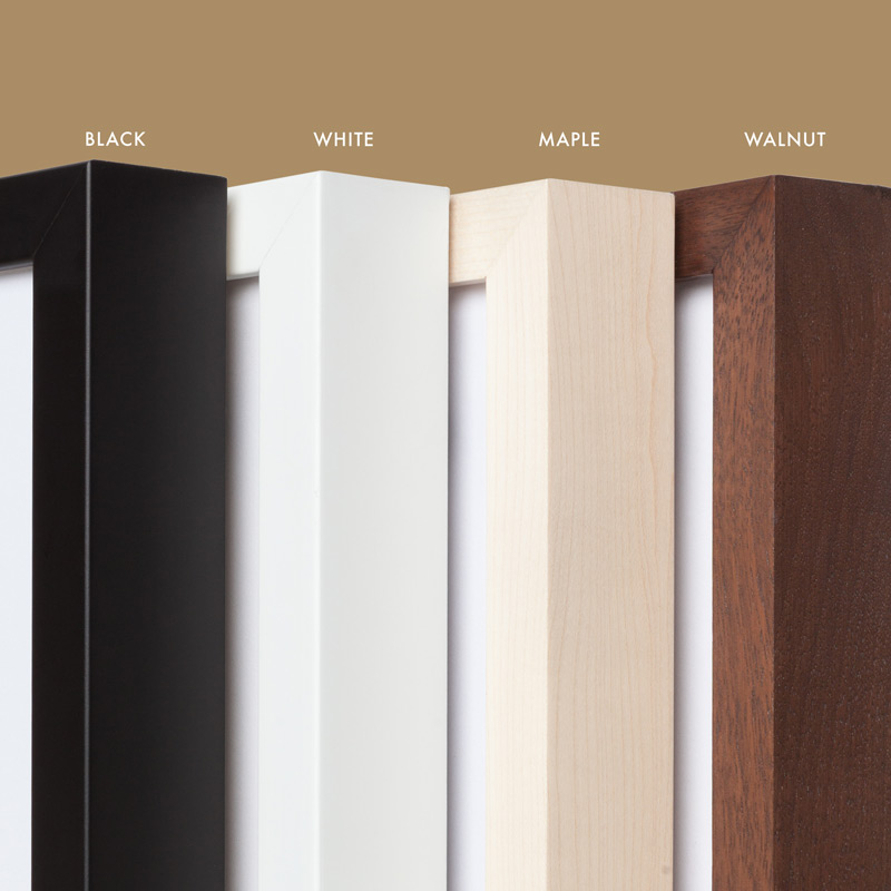 frame-color-options-banner.jpg