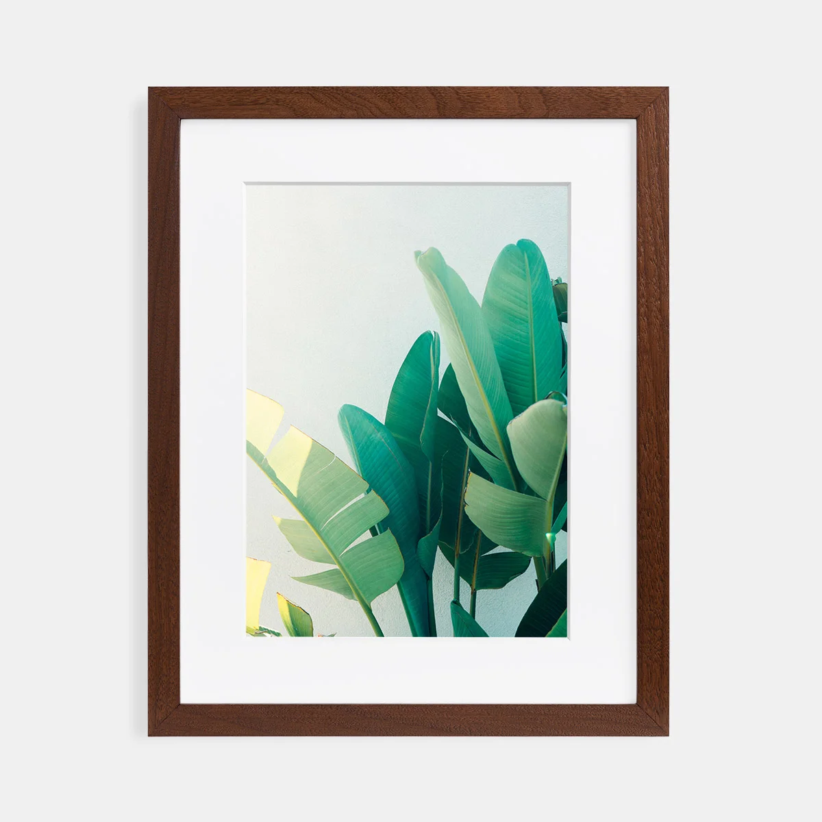 04-scott-snyder-cool-palms-walnut-frame.jpg