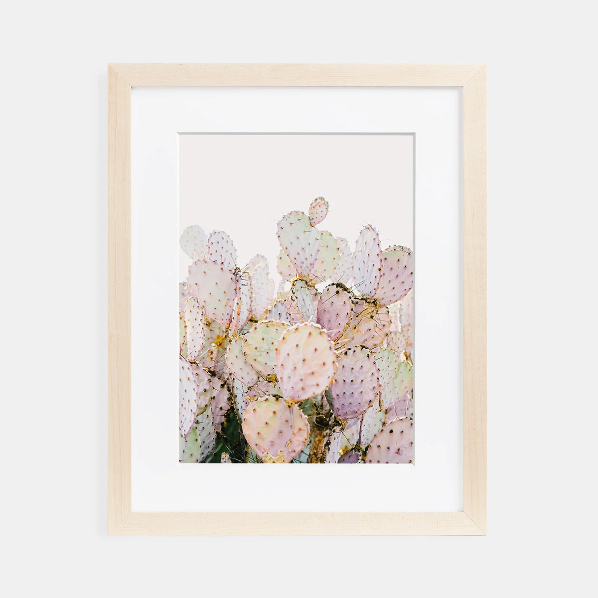 03-scott-snyder-pink-cactus-maple-frame.jpg
