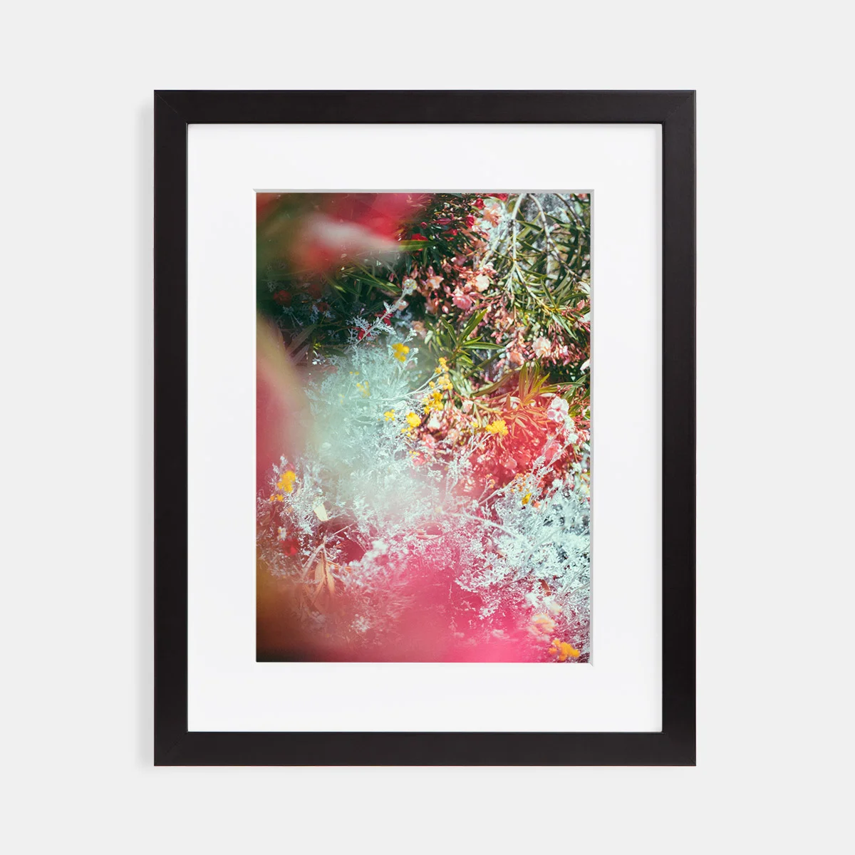 02-scott-snyder-floral-blur-black-frame.jpg