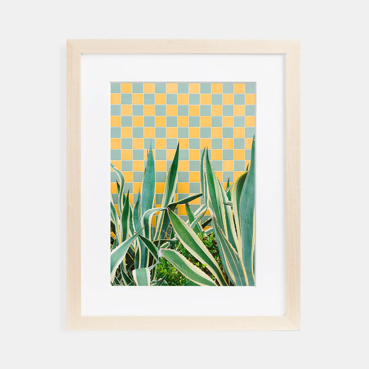 03-scott-snyder-checker-plant-maple-frame.jpg