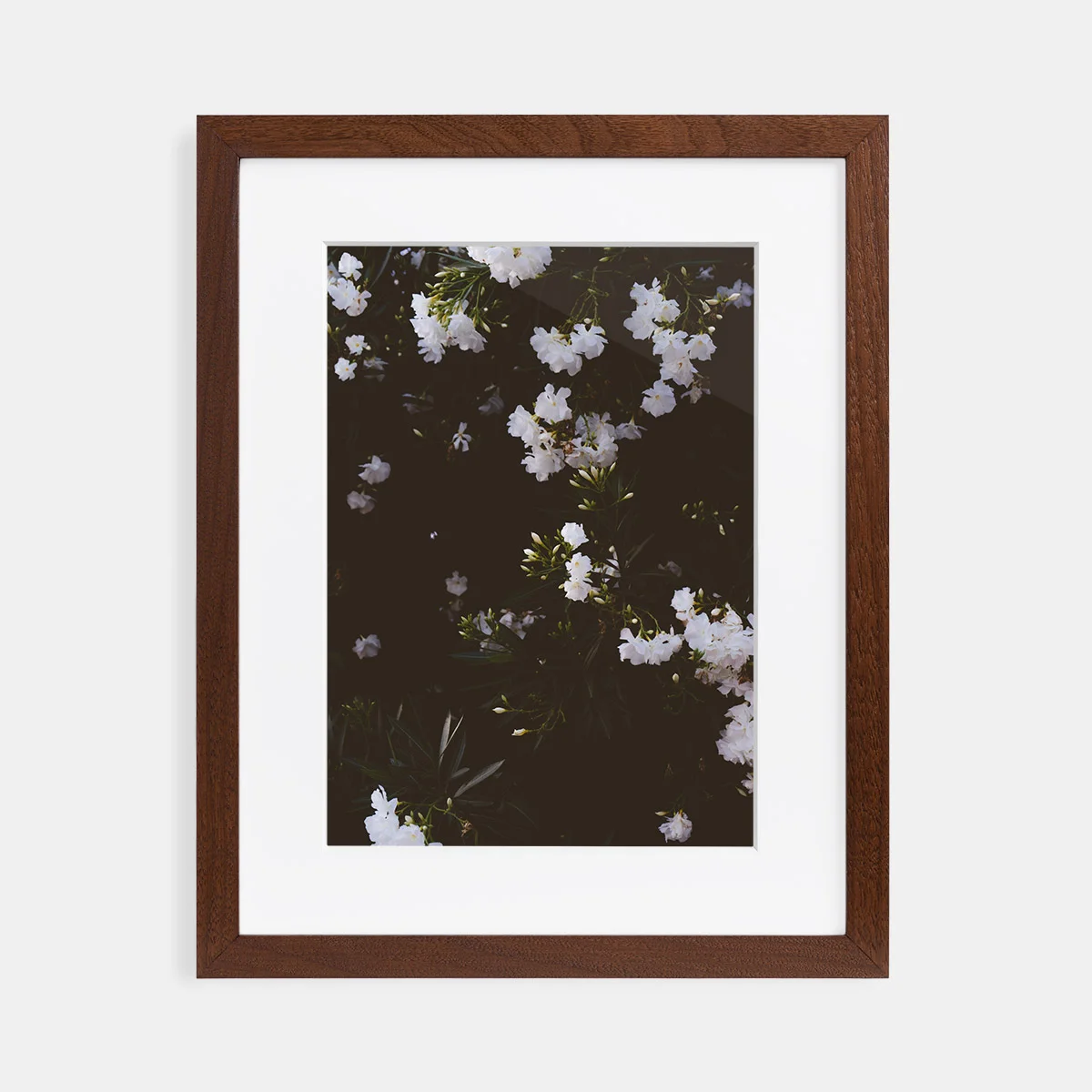 04-scott-snyder-florals-maple-frame.jpg