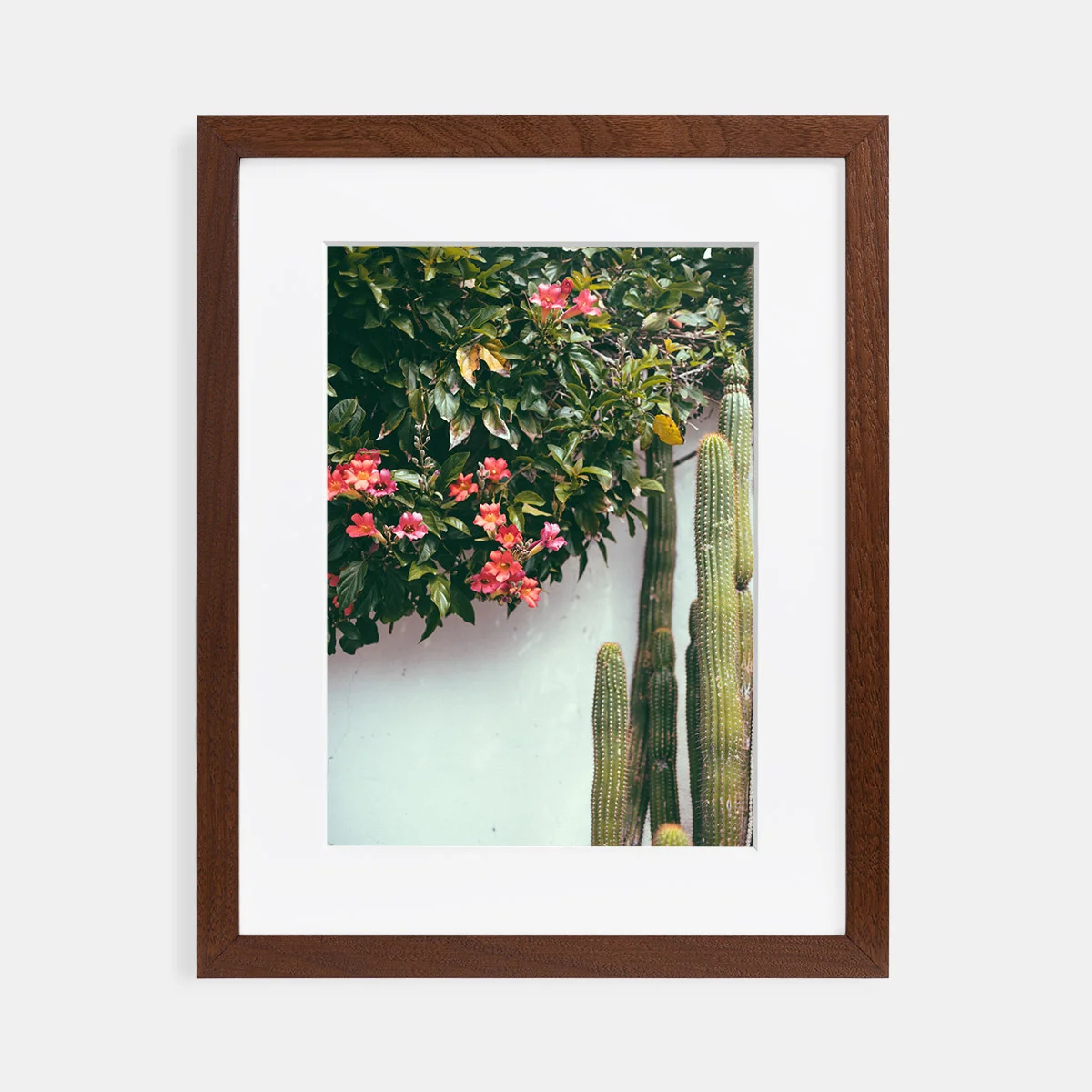 04-scott-snyder-san-juan-cap-walnut-frame.jpg
