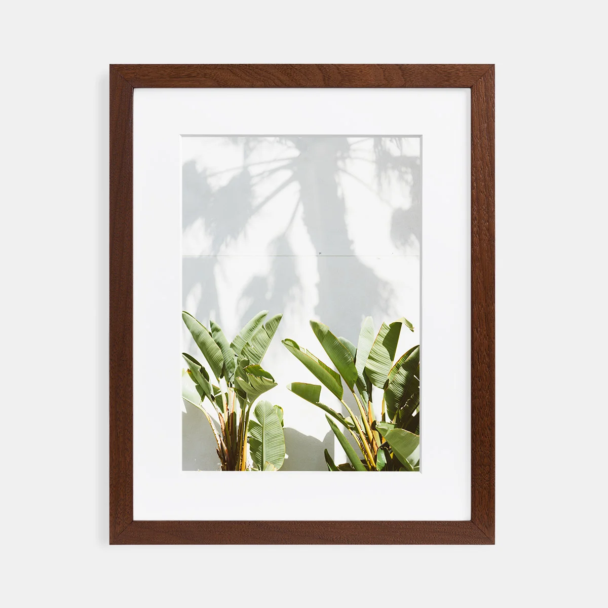 04-scott-snyder-palm-shadows-walnut-frame.jpg