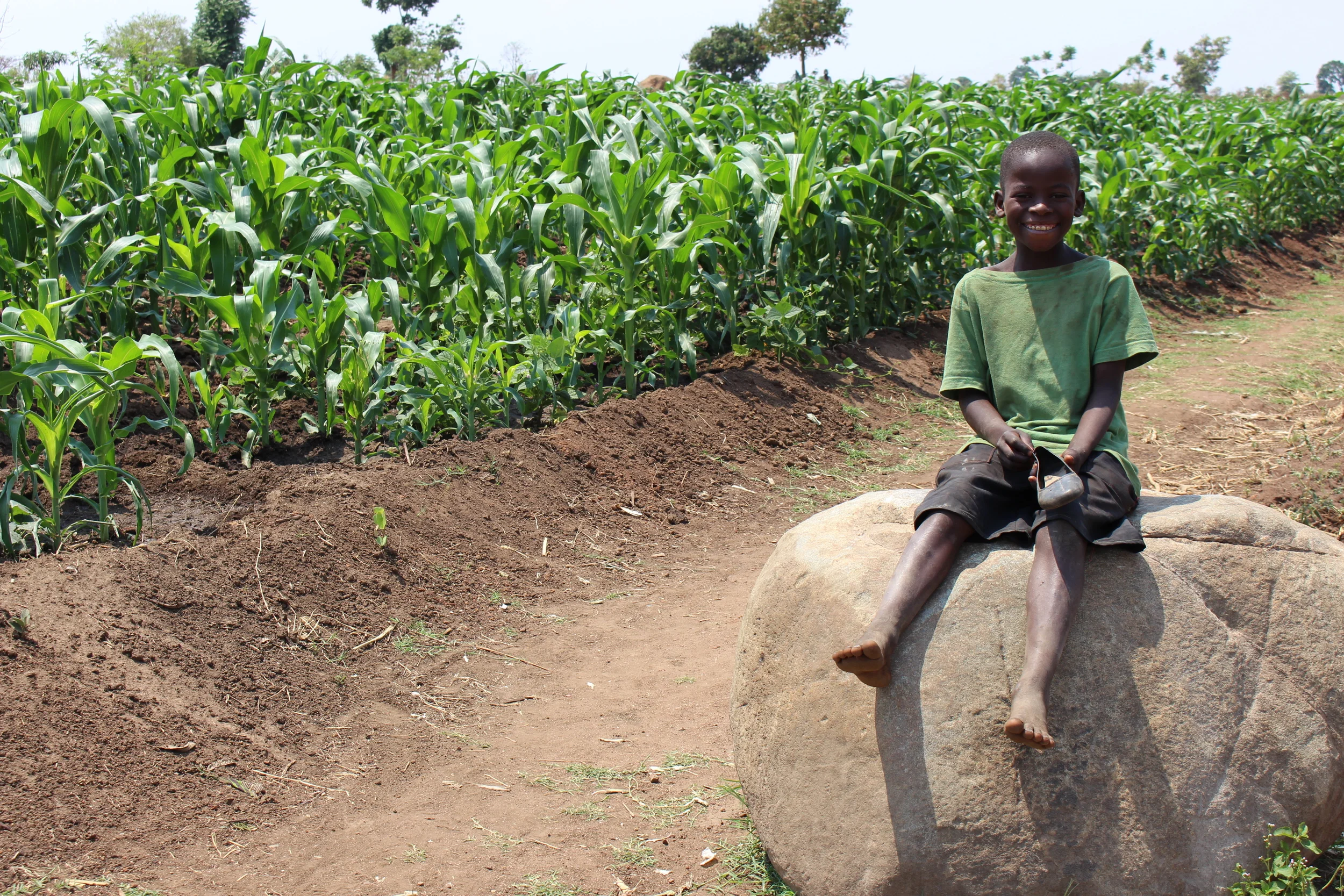 Agriculture Providing jobs, training, and food.