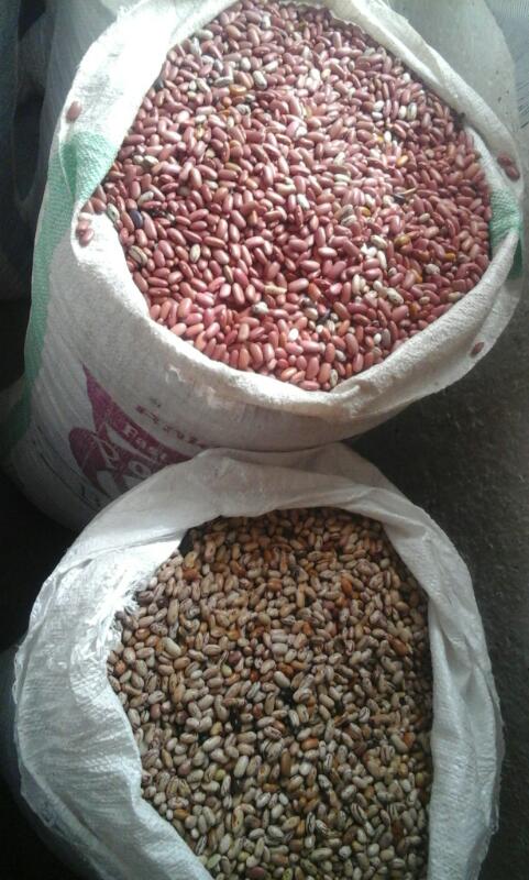 We're buying beans from local farmers for our feeding program 2017-2018.