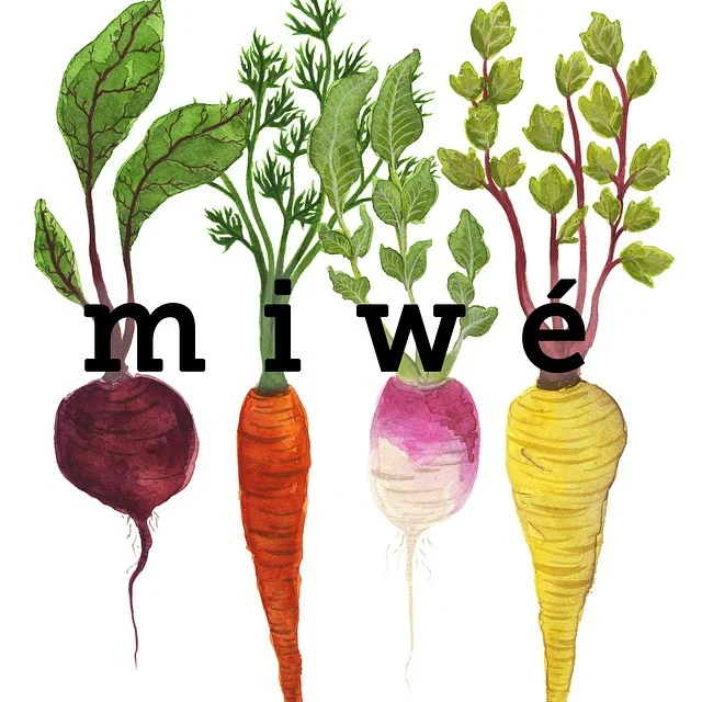 miwi-logo.jpg