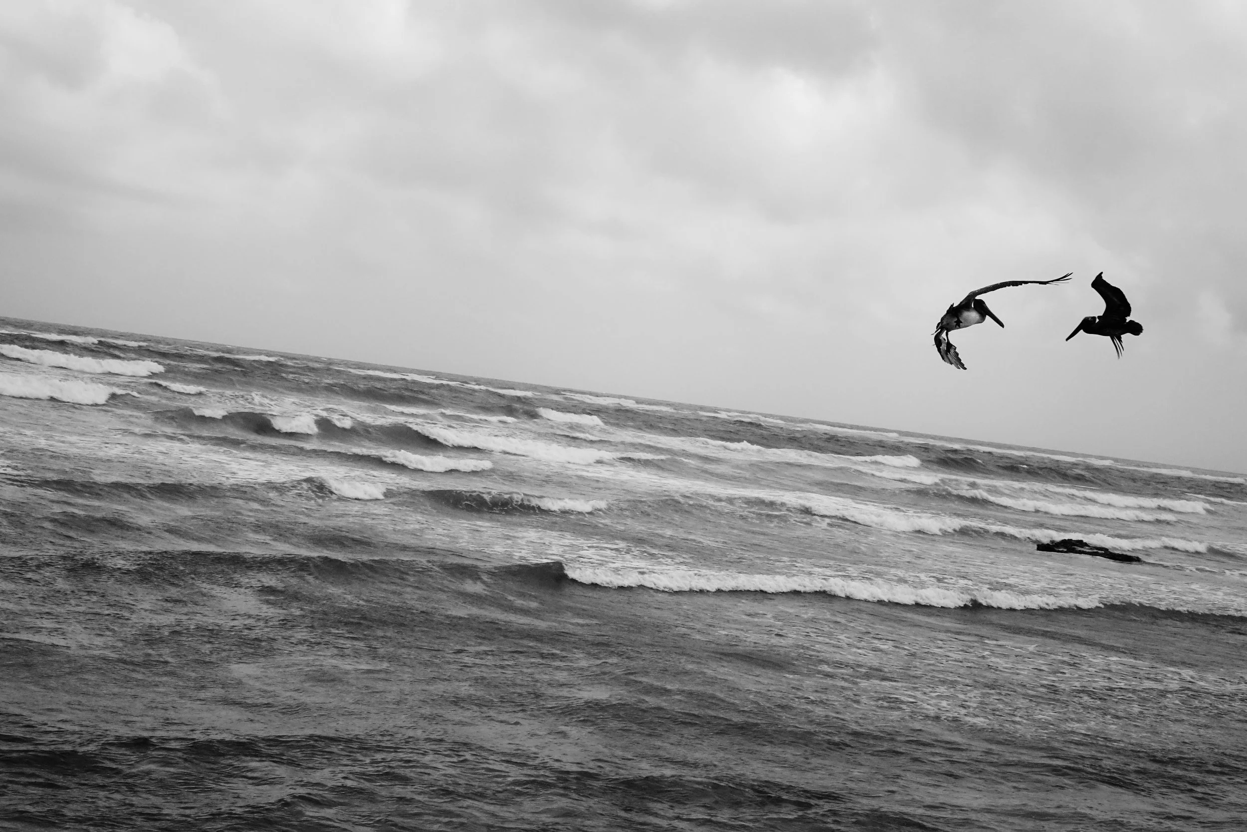 IMG_3090.jpg