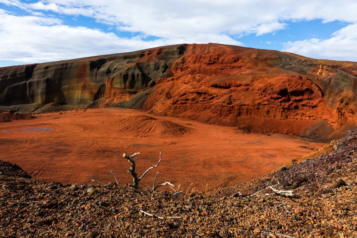 _DSC8778.jpg