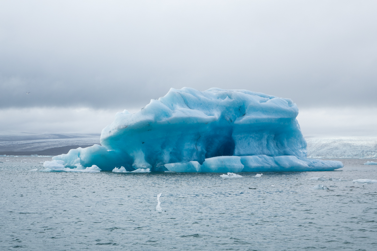 _DSC9293.jpg