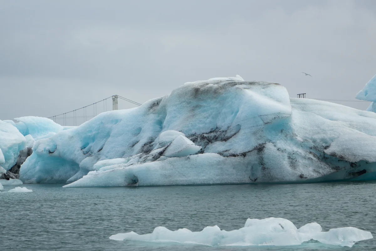 _DSC9510.jpg