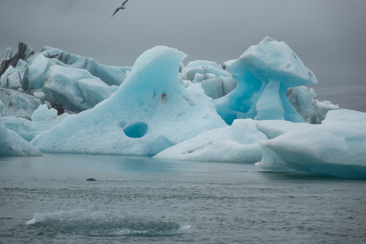 _DSC9552.jpg