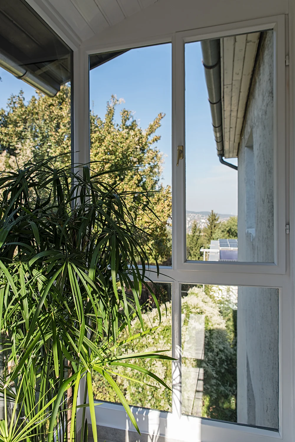 _DSC7549_kicsi.jpg