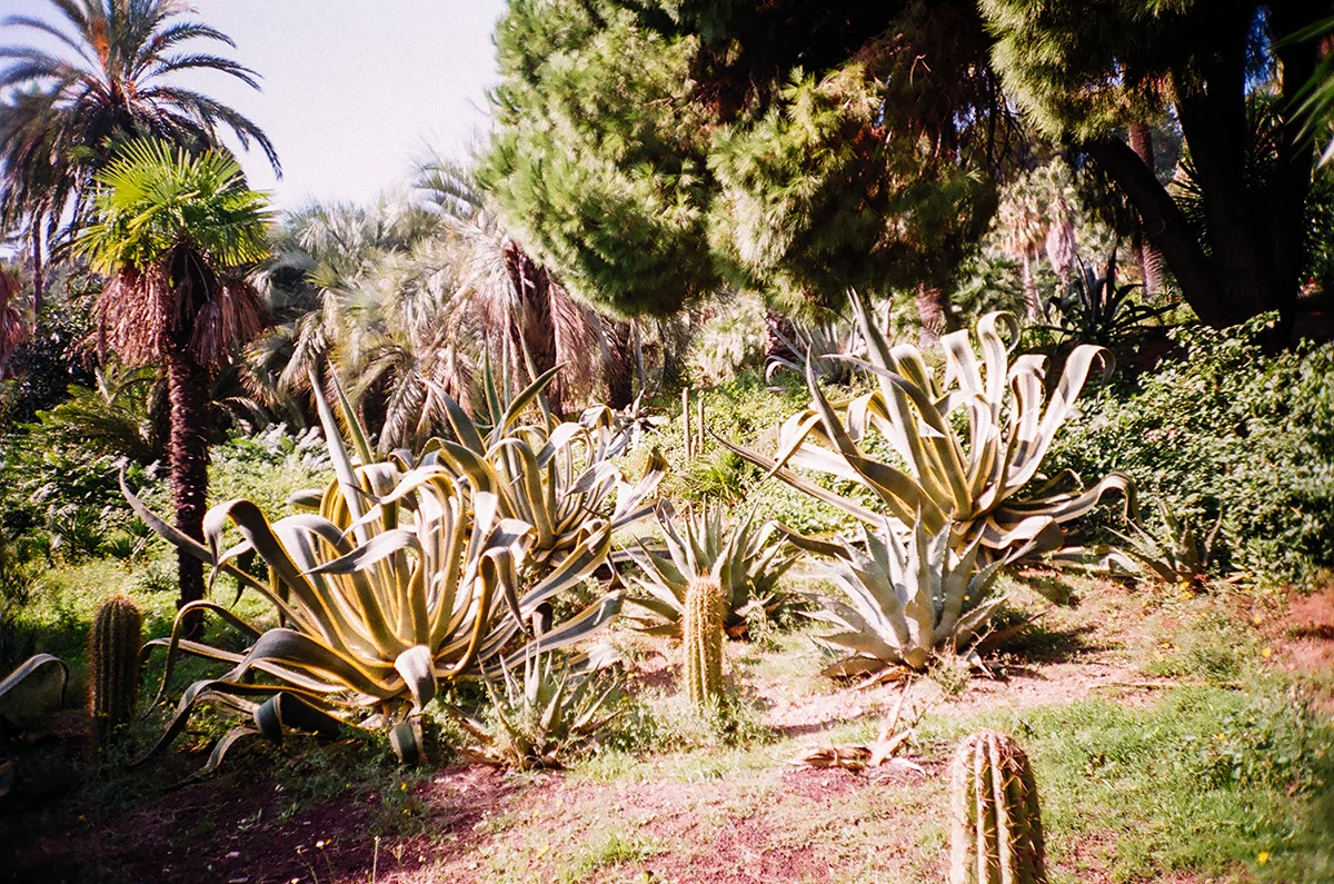 03500001_k.jpg