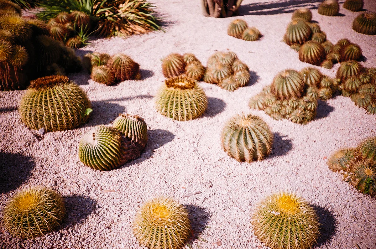 03500007_k.jpg