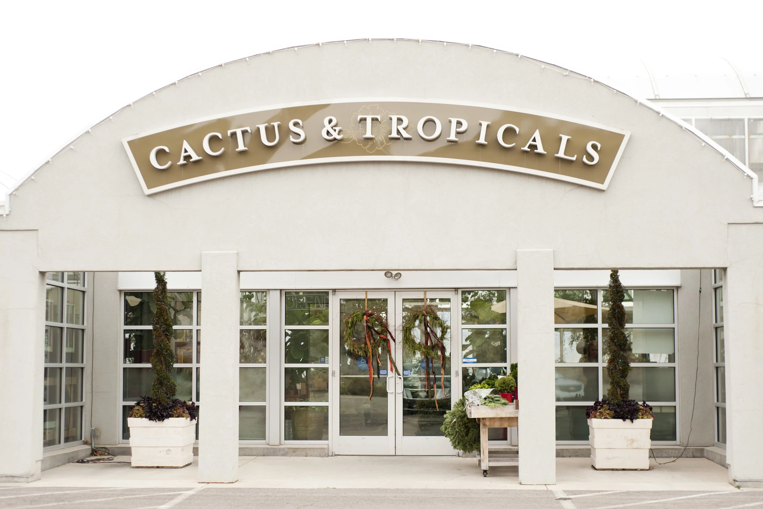 Cactus&Tropicals_03.jpg