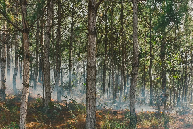 Markuskontiainen_vietnam_670x-15.jpg