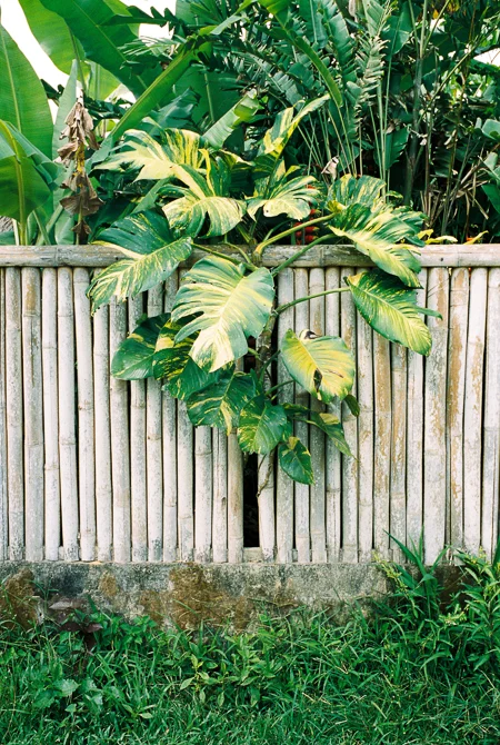 Bali_670px-15.jpg