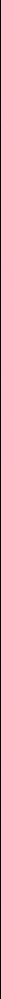 black vertical line.png