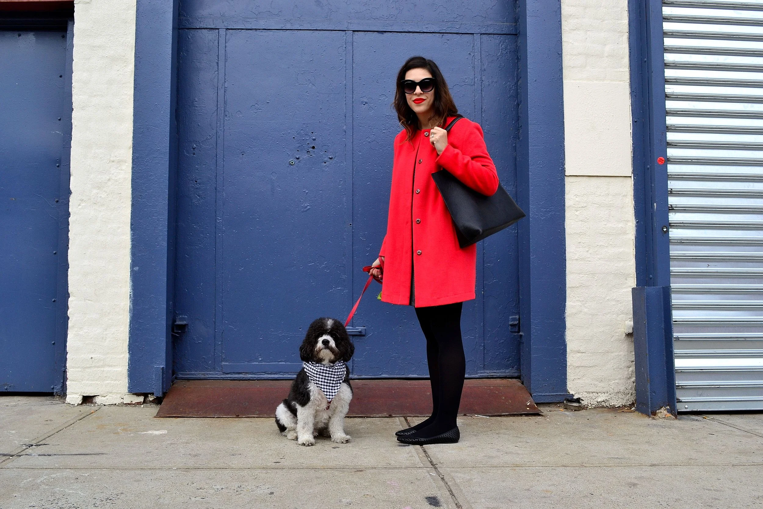 coat: BB Dakota, secondhand from Keiko Lynn's closet sale / dress: Kensie / tights: H&M / flats: Steve Madden / tote bag: Brooklyn Industries / sunglasses: Urban Outfitters