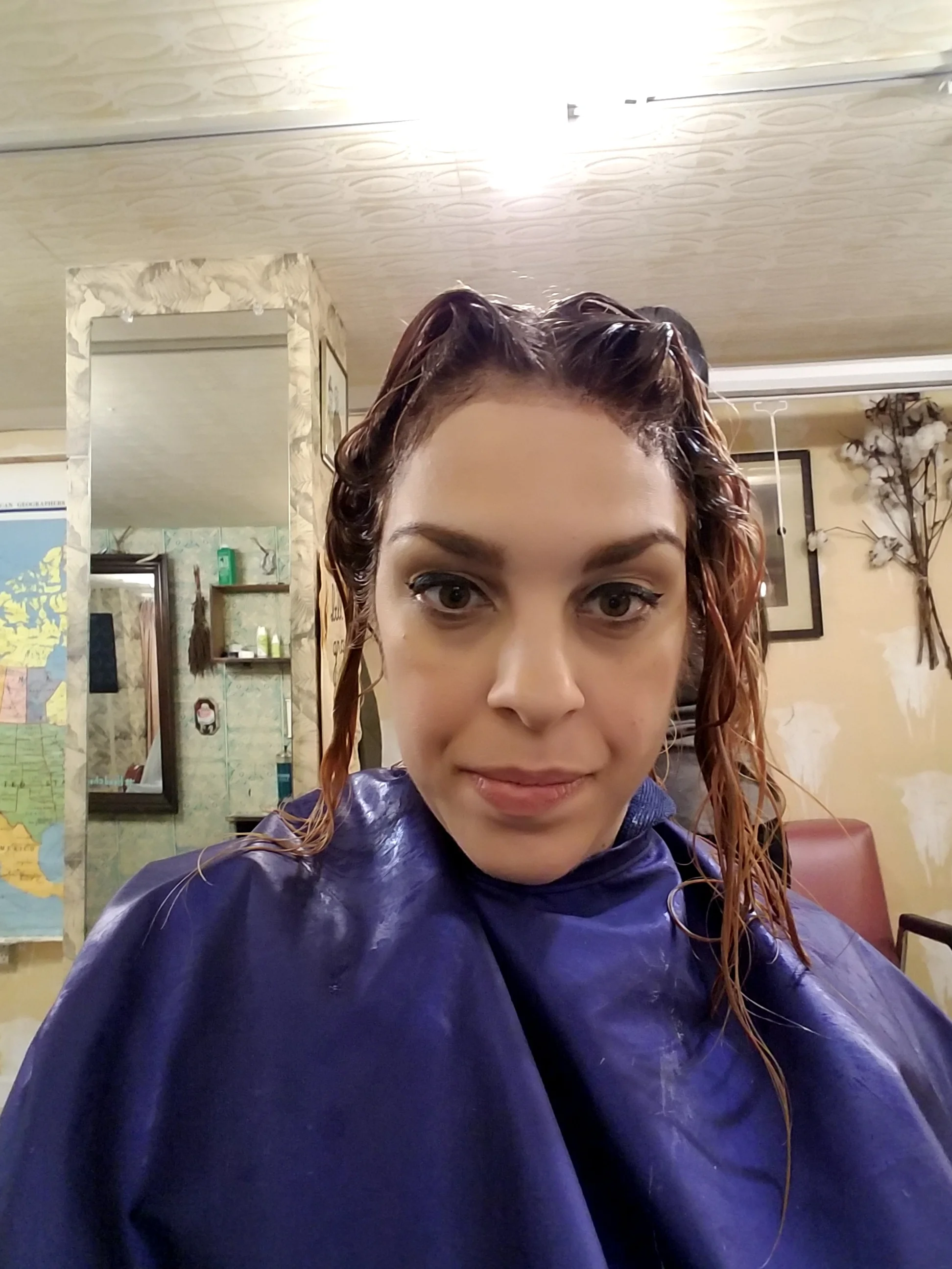 step 3 to blonde- 2.jpg