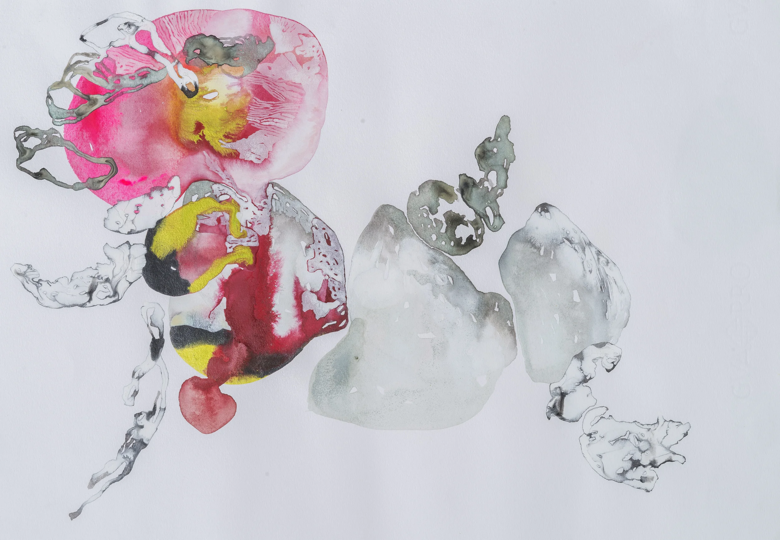  acrylic on paper 14 x 20   