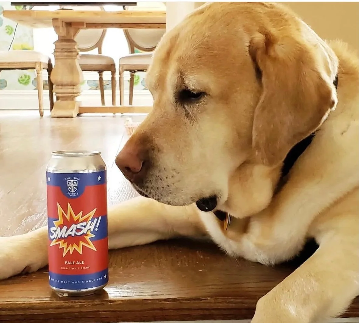 Sun&rsquo;s out, pups are out&hellip; and your new best friend might be waiting 🐾☀️

Today at 2PM we&rsquo;re teaming up with Last Chance Animal Rescue for a dog adoption event you won&rsquo;t want to miss. Whether you&rsquo;ve been thinking about a