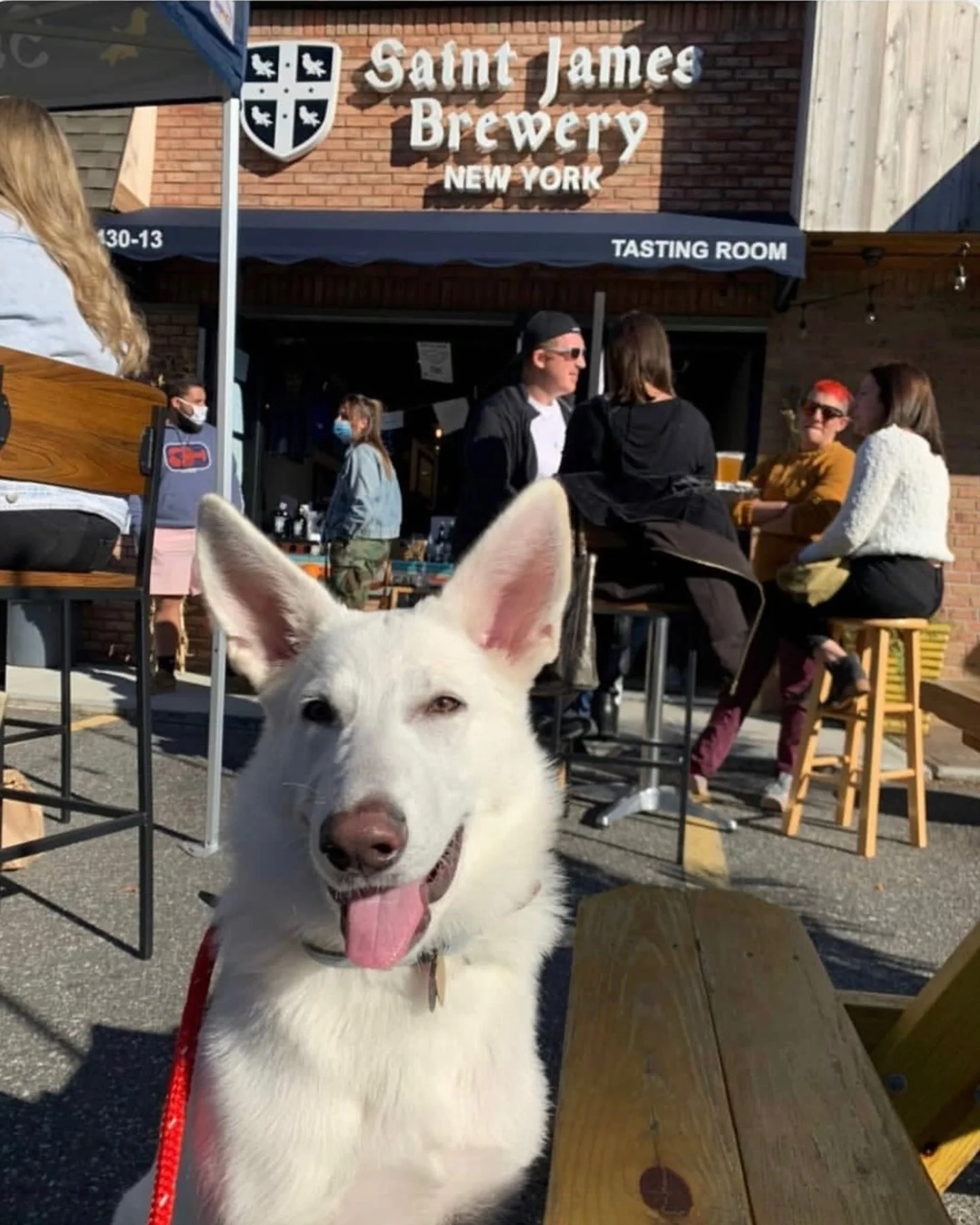 🚨 TODAY&rsquo;S THE DAY! 🚨

Starting at 2 PM, join us for our Myotonic Dystrophy Fundraiser! Come out and support a great cause while enjoying an afternoon filled with fun, community, and plenty of chances to win. Guest bartenders @dzignitdave and 