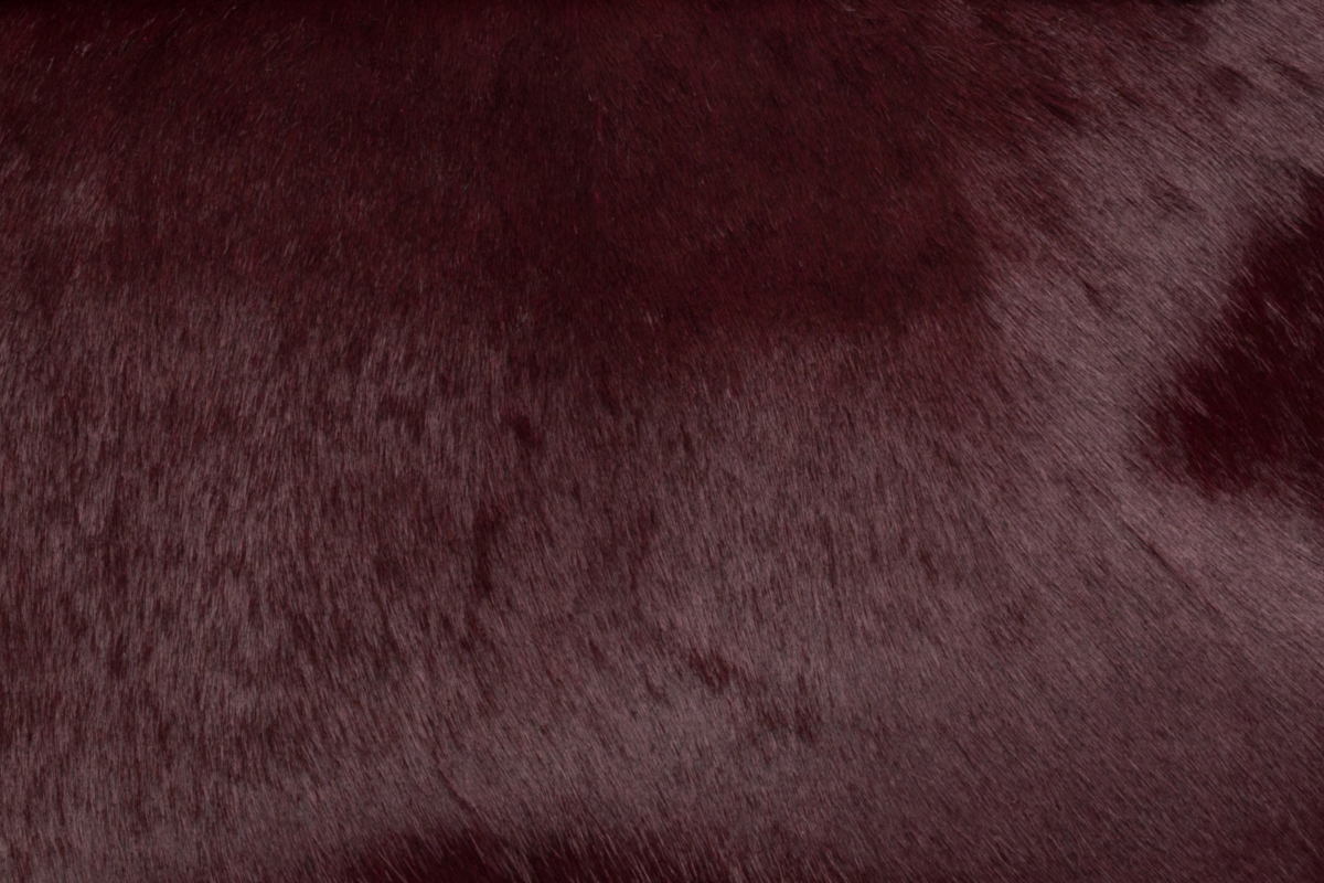 Burgundy Pony