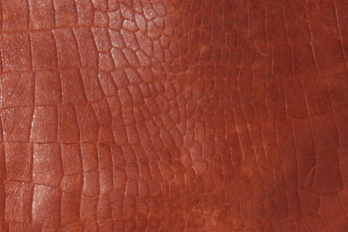 Cognac Croc
