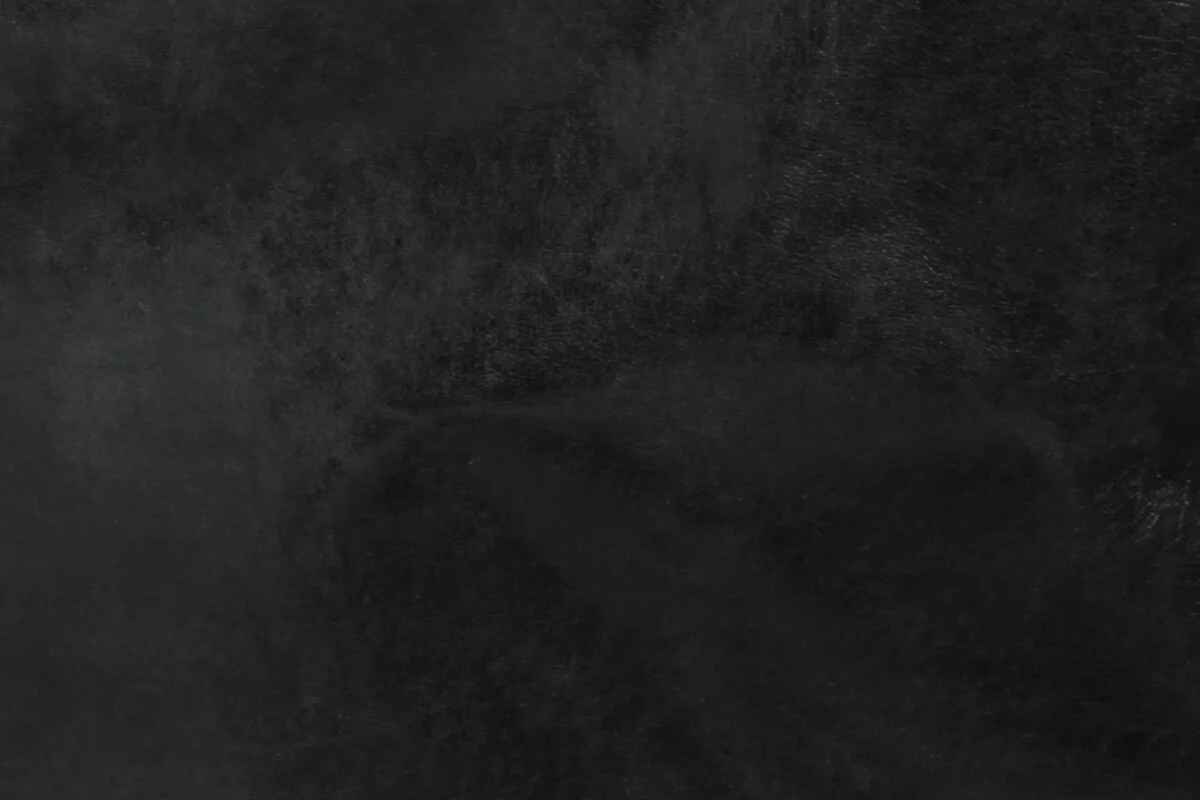 Onyx.jpg