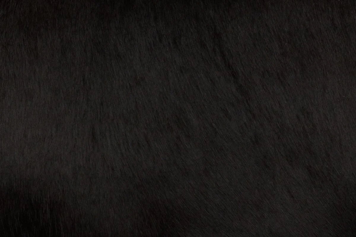 Black Calf