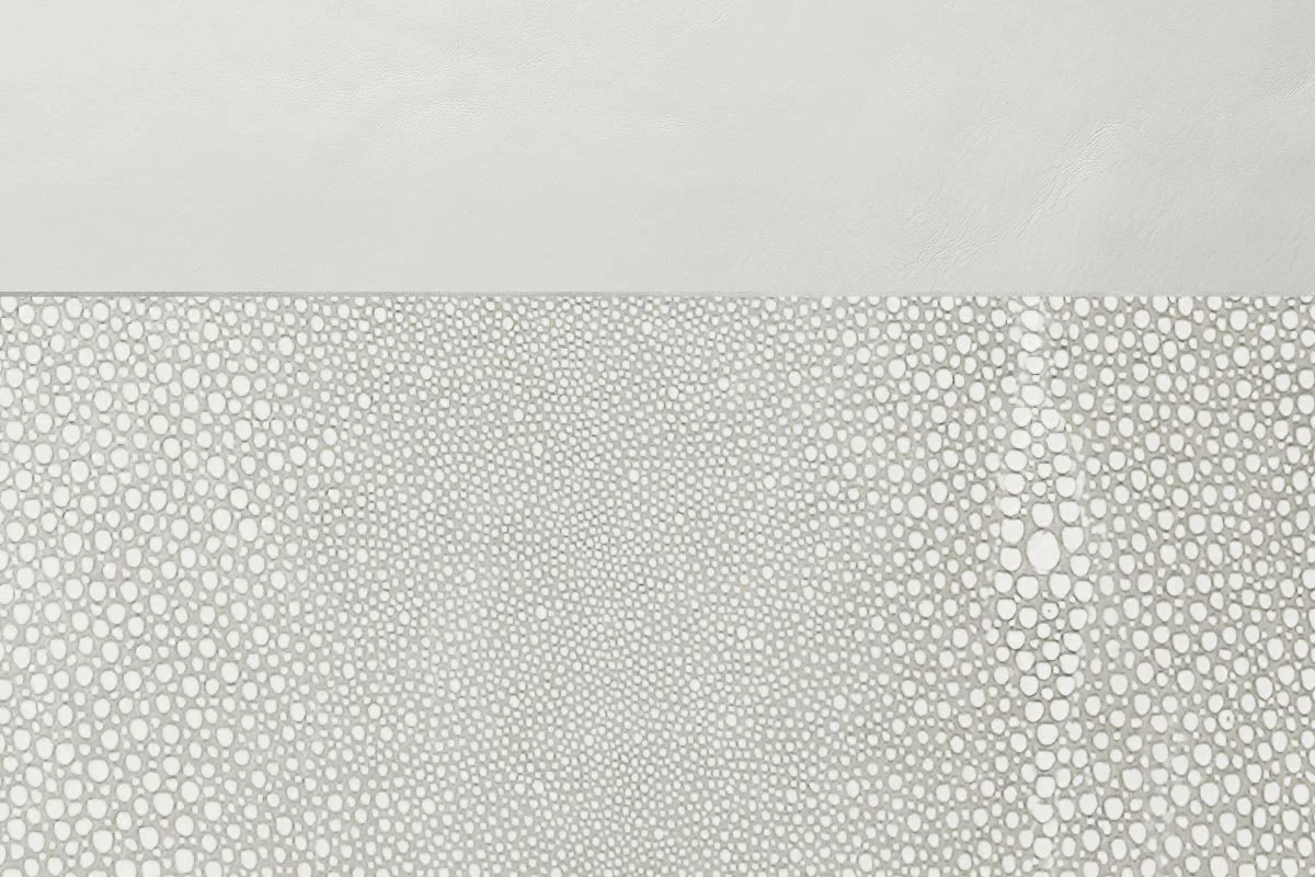 White-Sting-With-White.jpg