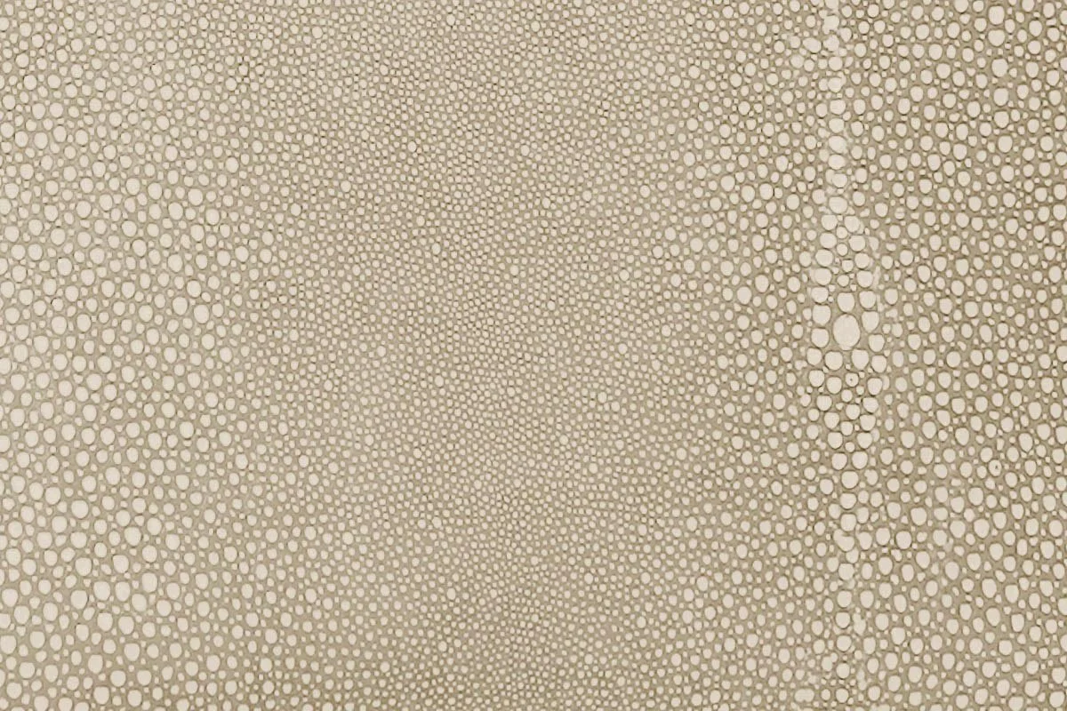 Sand-Sting.jpg