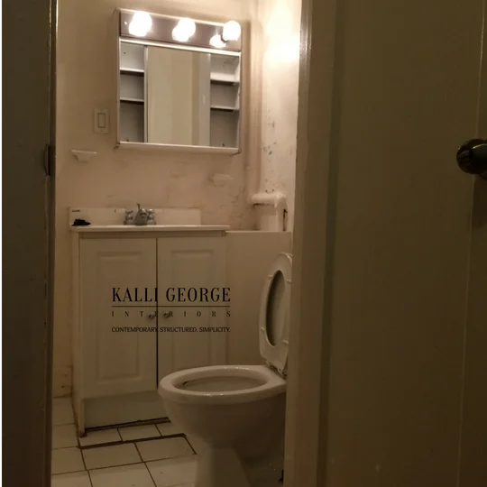 Toronto bathroom with toilet and vanity.jpg