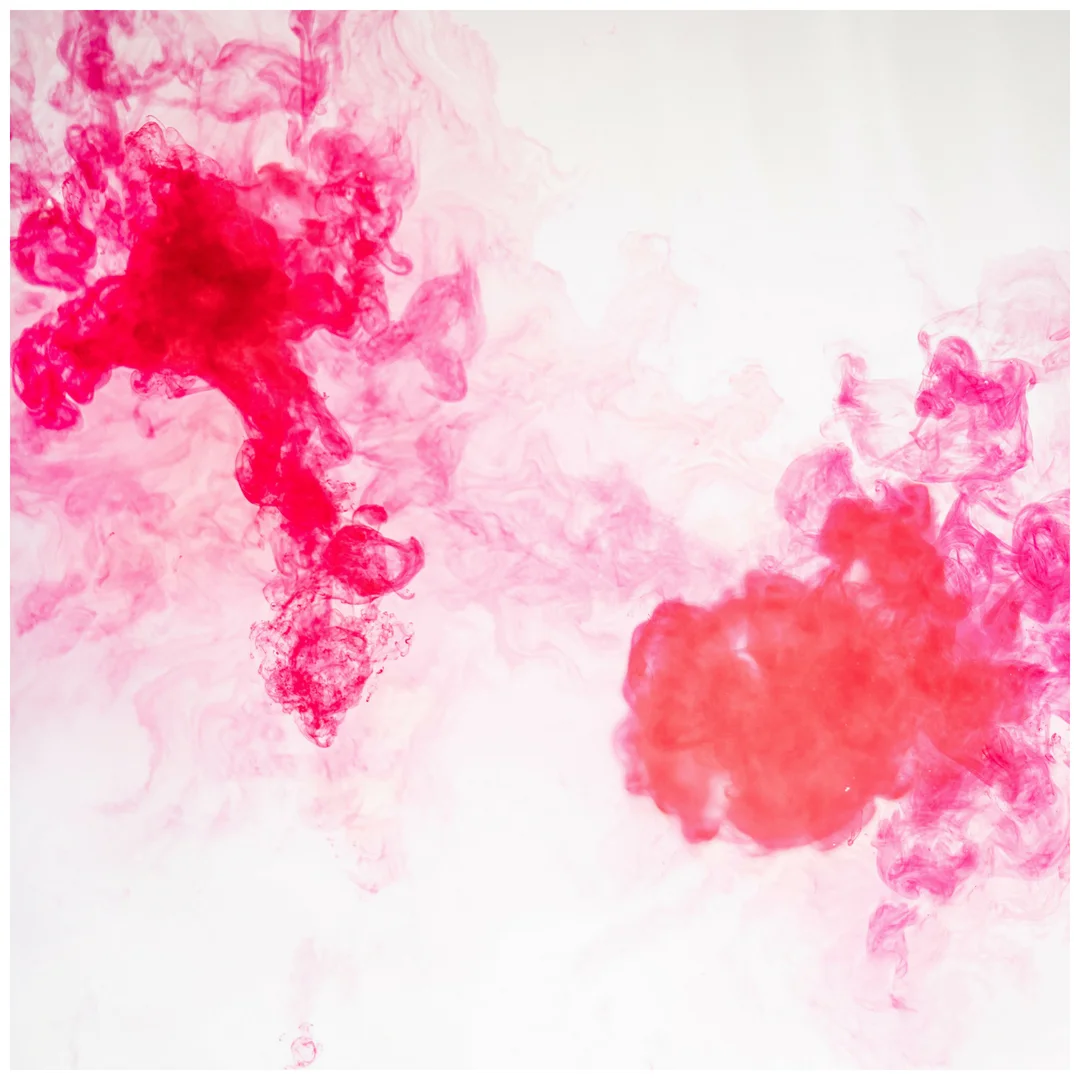 white background, magenta, red, honeysuckle, colour swirl.jpeg
