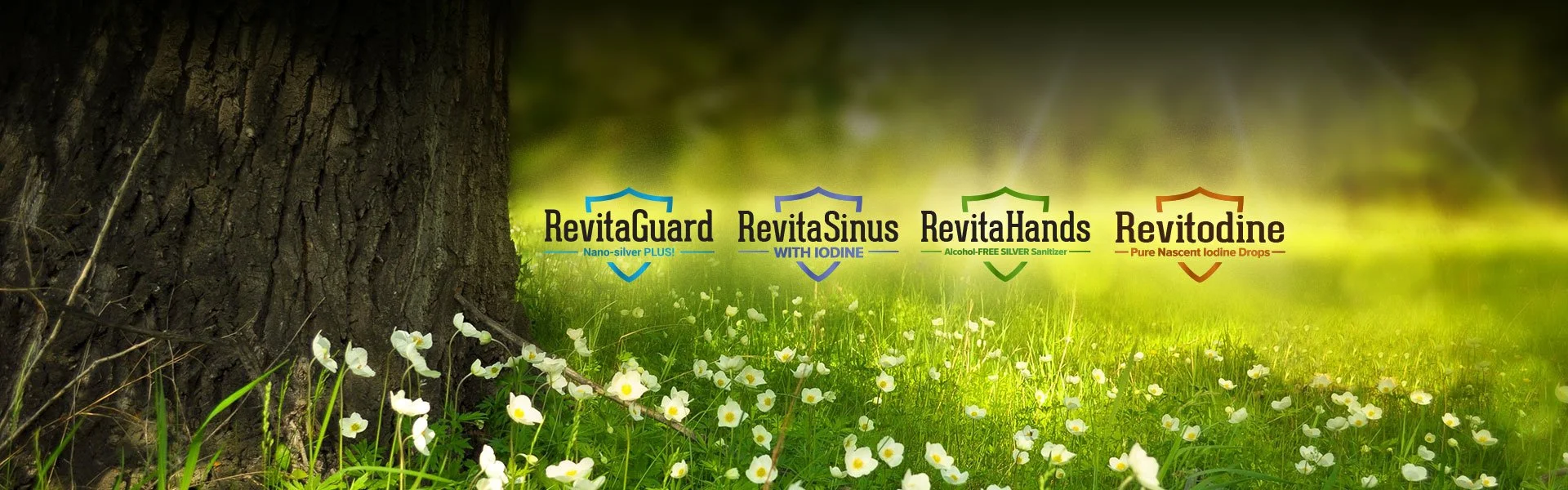 hero_header1.jpg